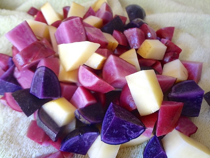 Diced purple and yellow fingerling potatoes being dried on a towel for potato tacos.