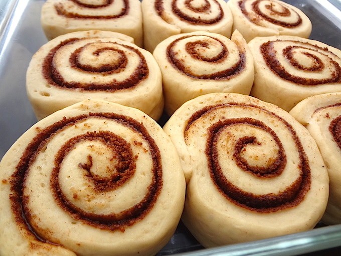 Refined sugar free vegan cinnamon rolls in a glass dish ready for the second rise.