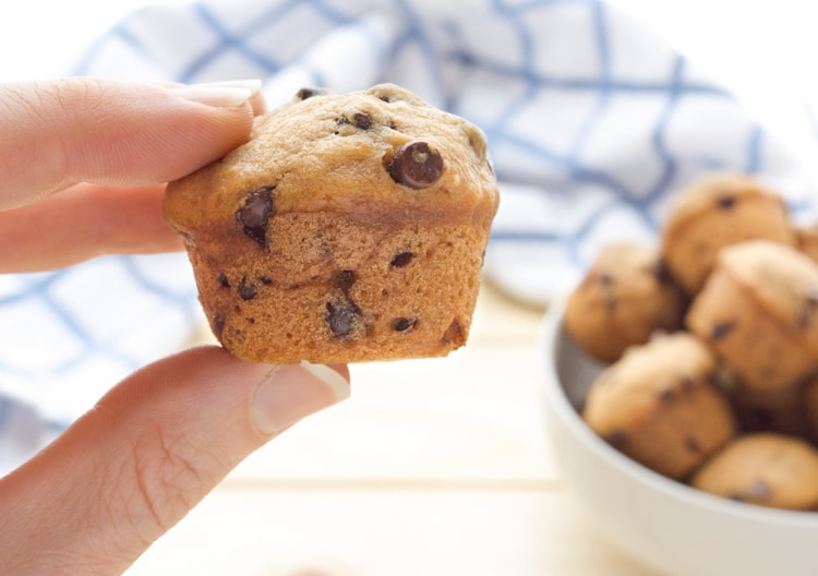 a hand holding a mini vegan Chocolate Chip Muffin with a white bowl of muffins.