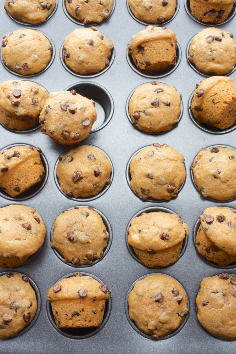 A muffin pan with min Vegan Chocolate Chip Muffins.
