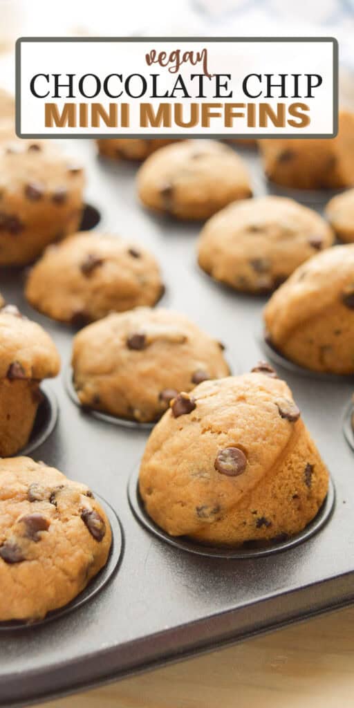 Chocolate chip muffins in a muffin tin.