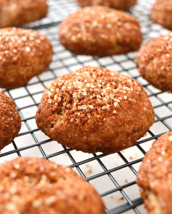 Easy Vegan Crumb Donut Cookies are covered in a cinnamon and sugar coating! The inside is soft and tender with a subtle hint of rich buttery goodness. Leave those packaged donuts at the store and make some healthier, egg and dairy free cookies at home!