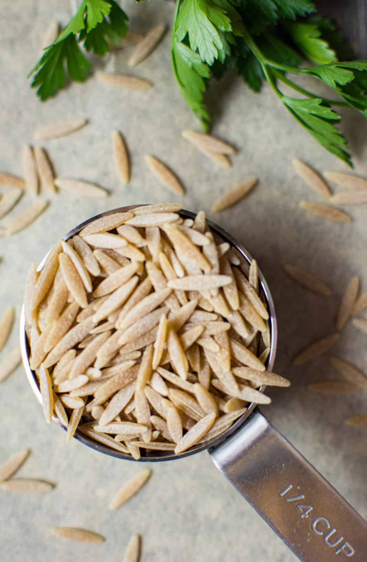 Orzo pasta in a ¼ measuring cup.