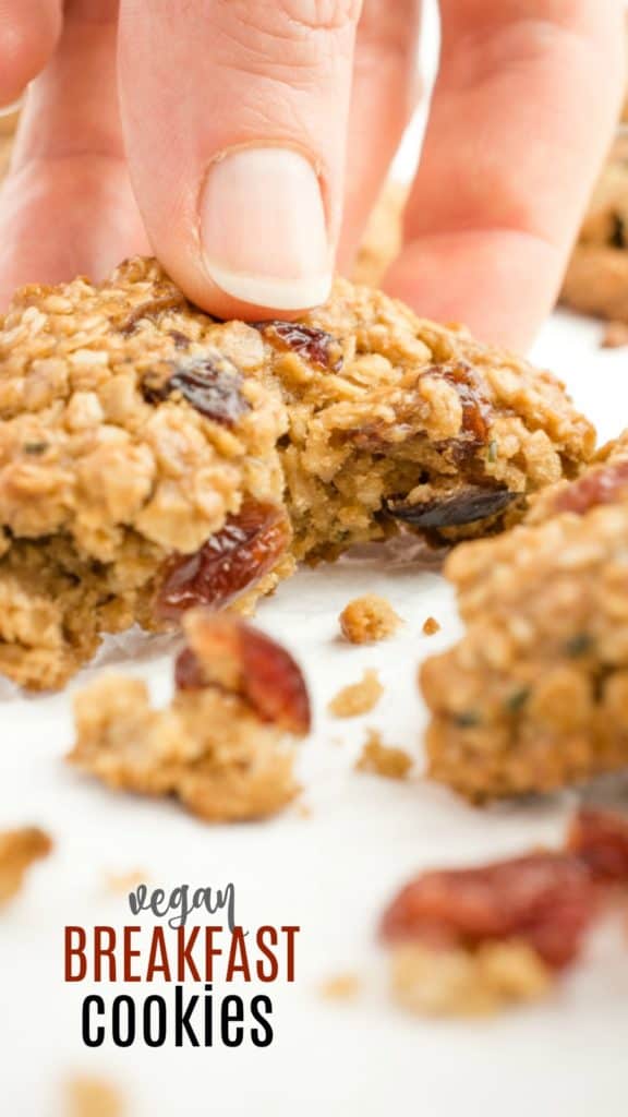 Vegan Breakfast Cookies