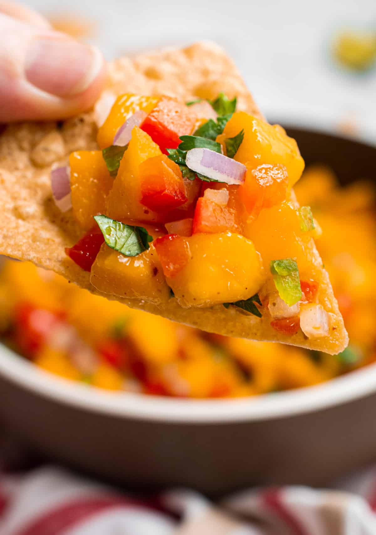 A hand holding a tortilla chip topped with homemade mango salsa.