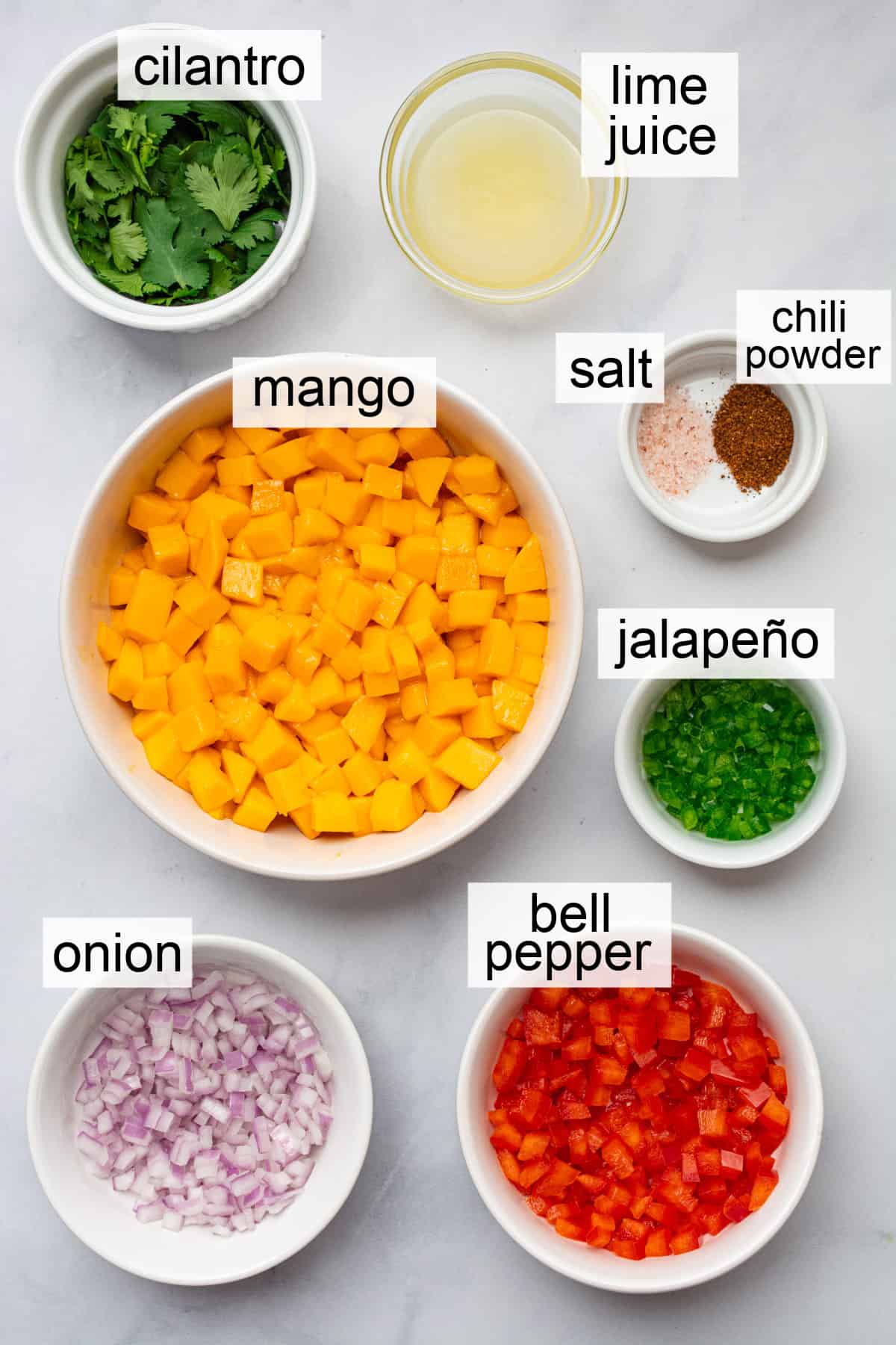 A labeled image of 6 white bowls varying in size with an ingredient in each-mango, jalapeño, bell pepper, onion, cilantro, lime juice, salt and chili powder.