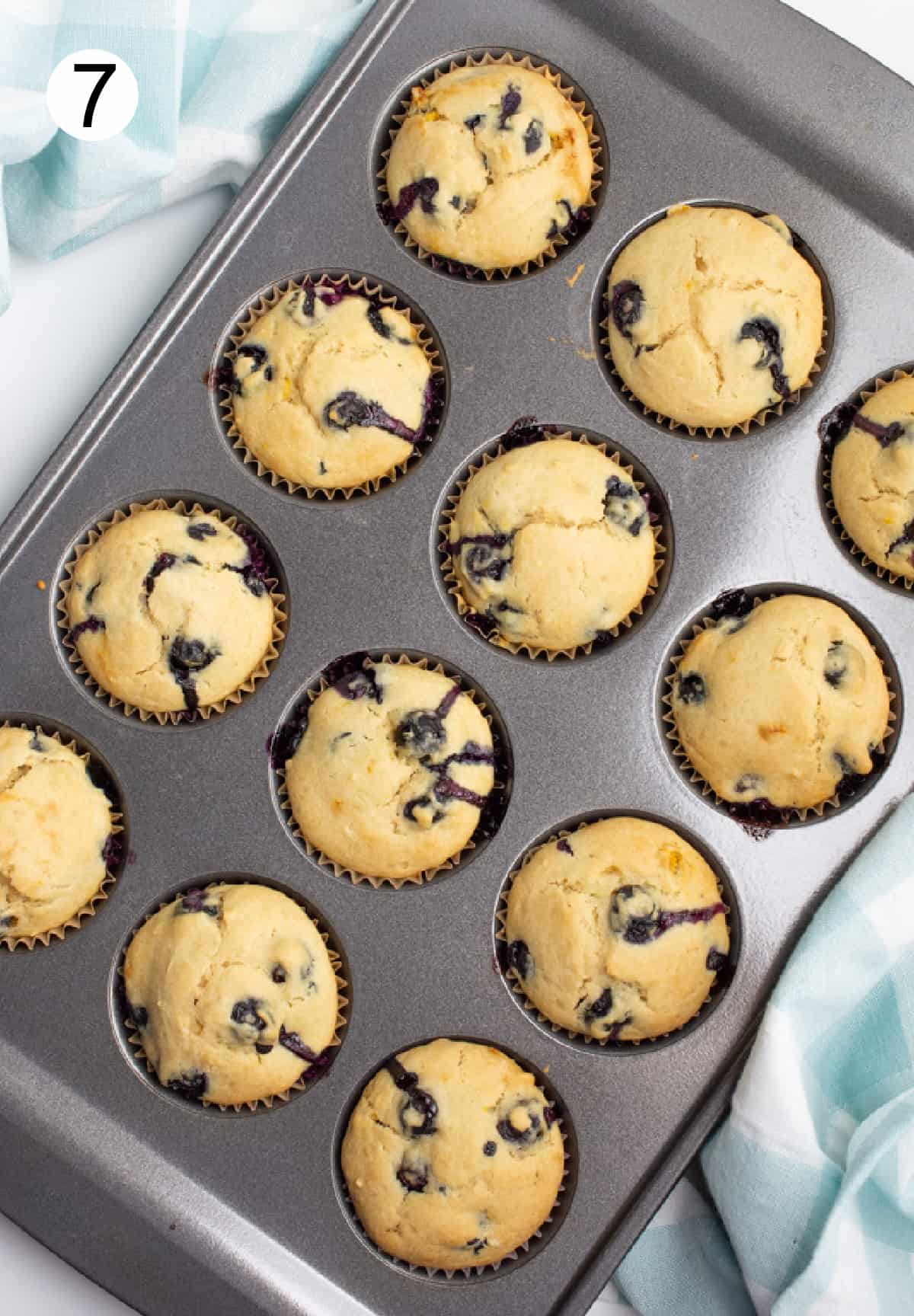 Freshly baked blueberry muffins in a muffin pan.