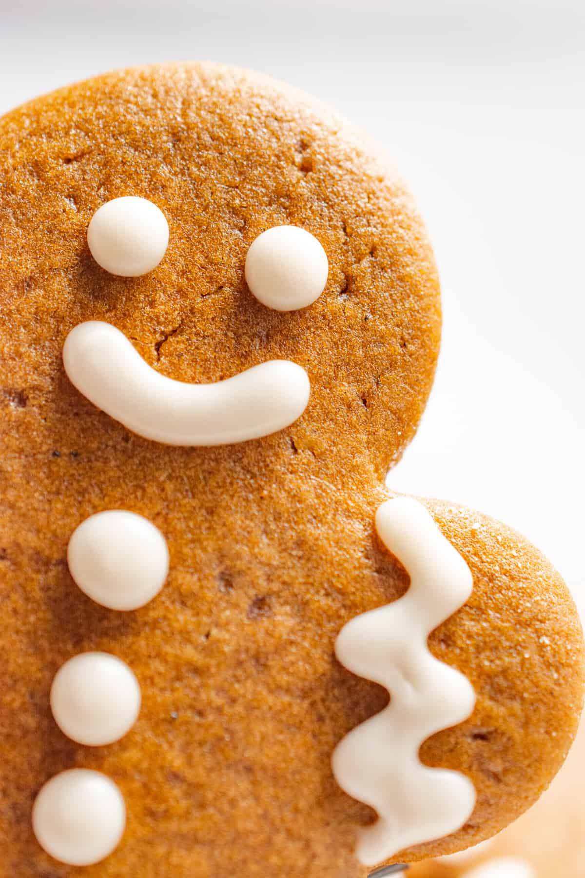 Close up of gingerbread cookie face.
