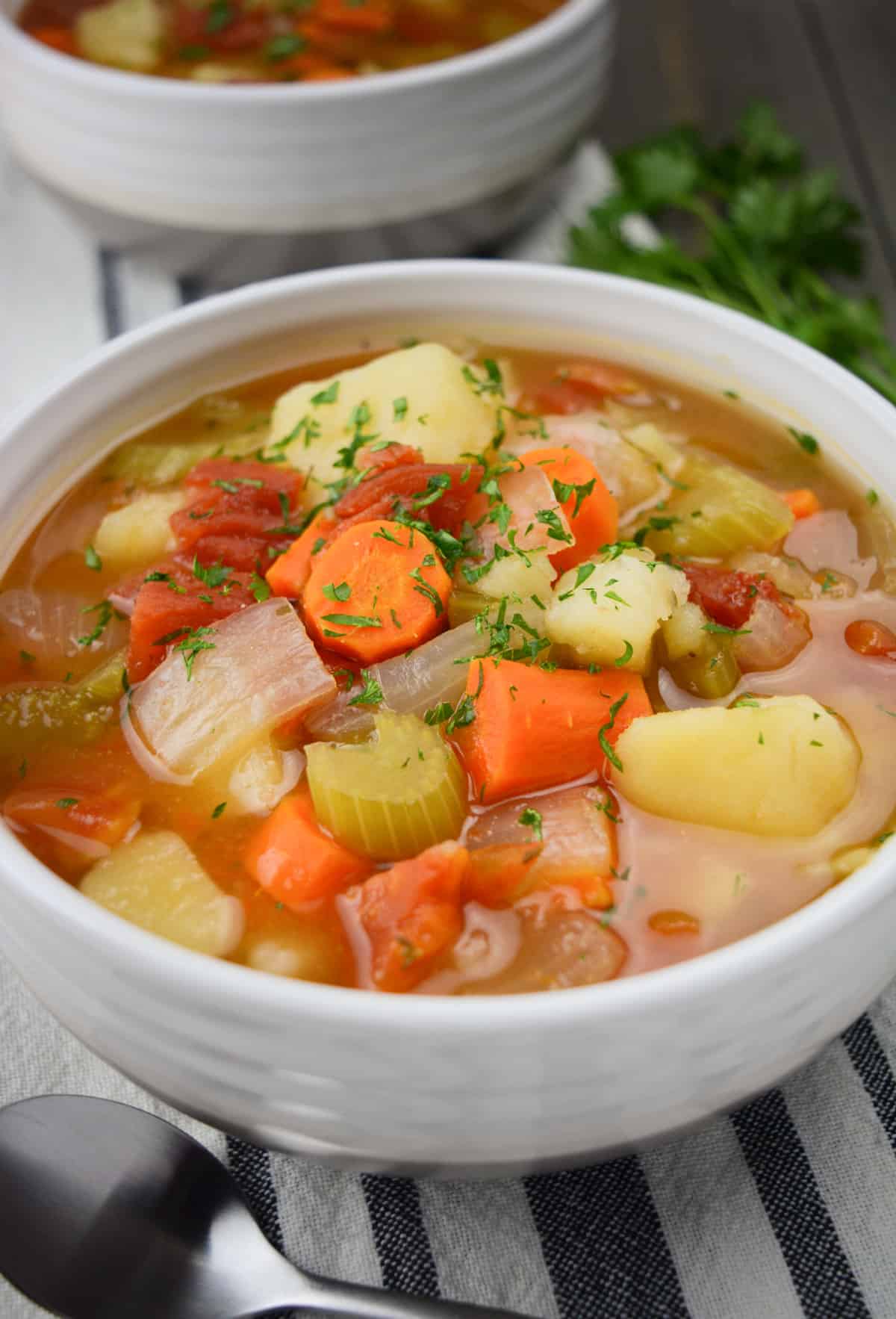 Vegetable Soup in a white bowl with parsley leaves.