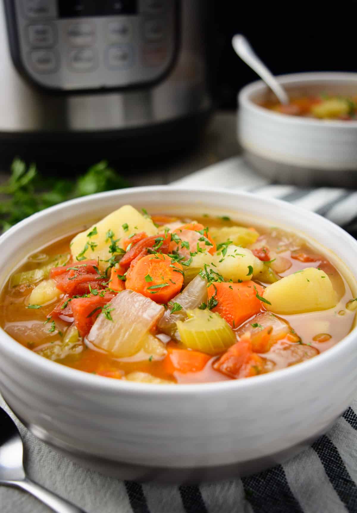 1 bowl of vegetable soup with another  bowl of soup and an Instant Pot in the background.