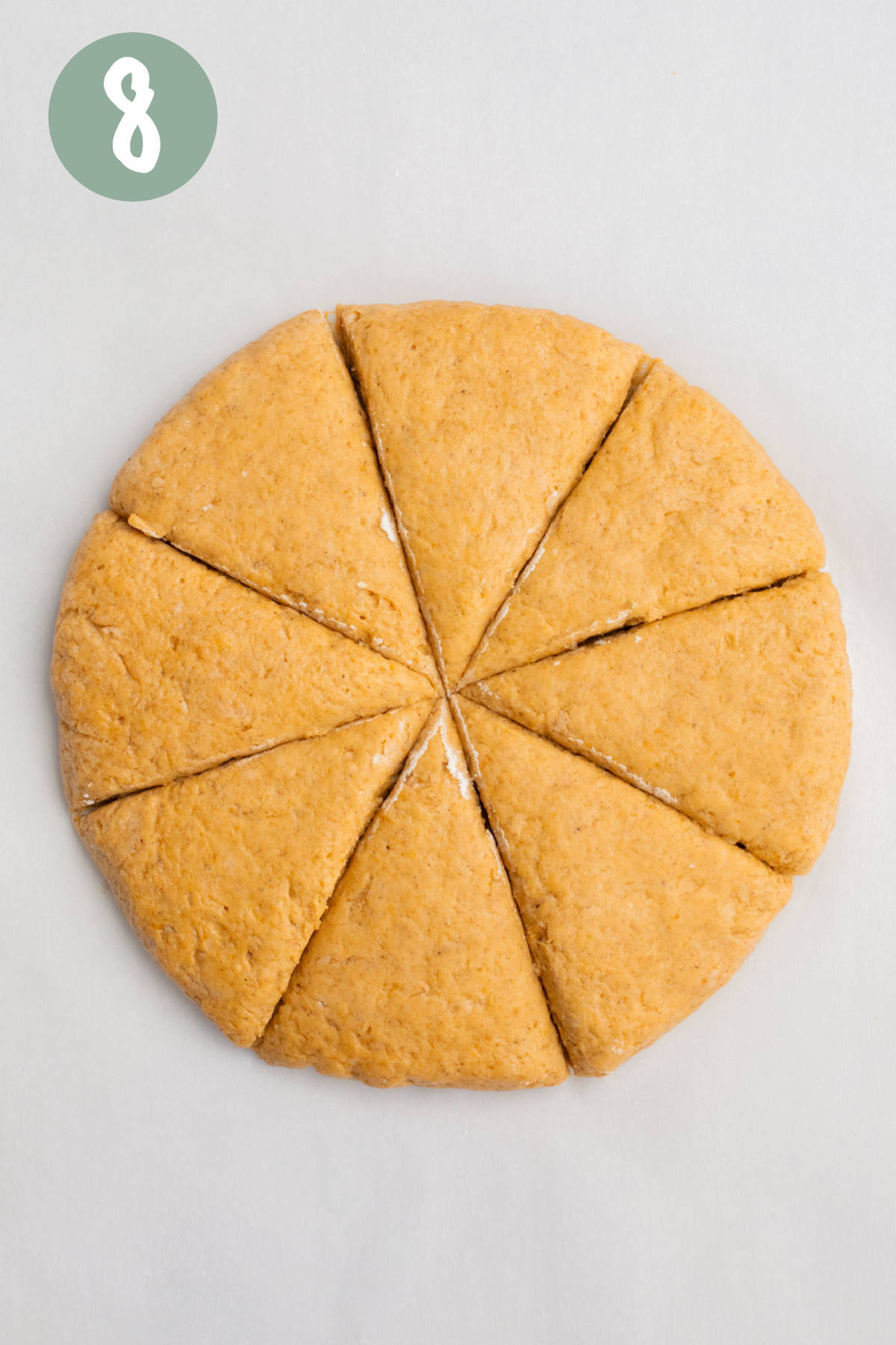 Pumpkin scones dough cut like a pizza into eight triangles.