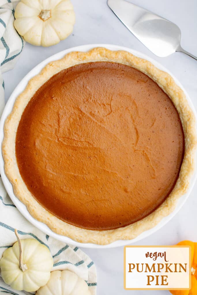 Vegan pumpkin pie after baking with 3 small white pumpkins and 1 orange pumpkin placed around it.