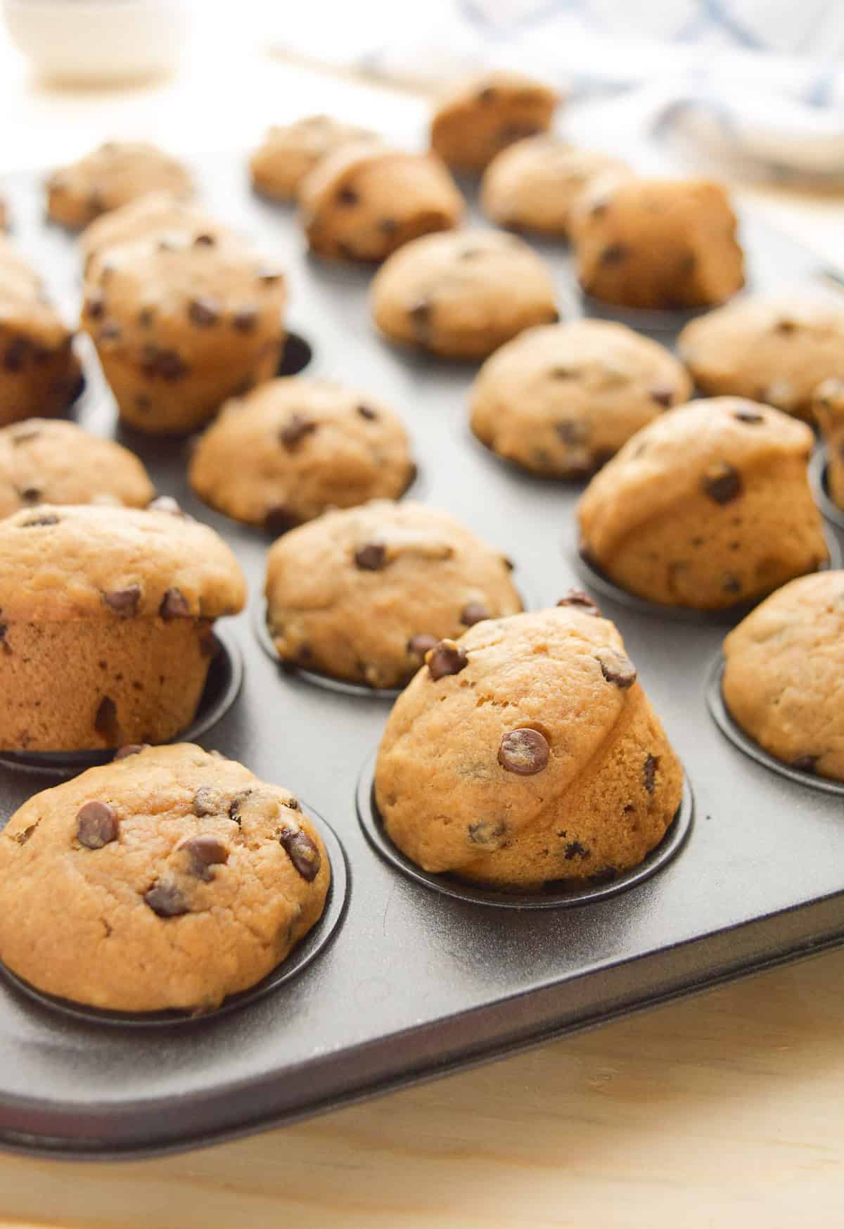 A mini muffin pan filled with vegan chocolate chip muffins.
