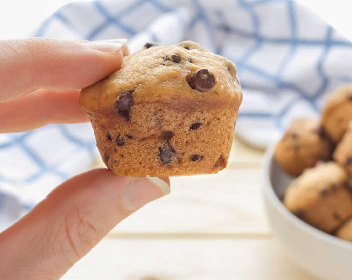 A hand holding a mini vegan chocolate chip muffin.