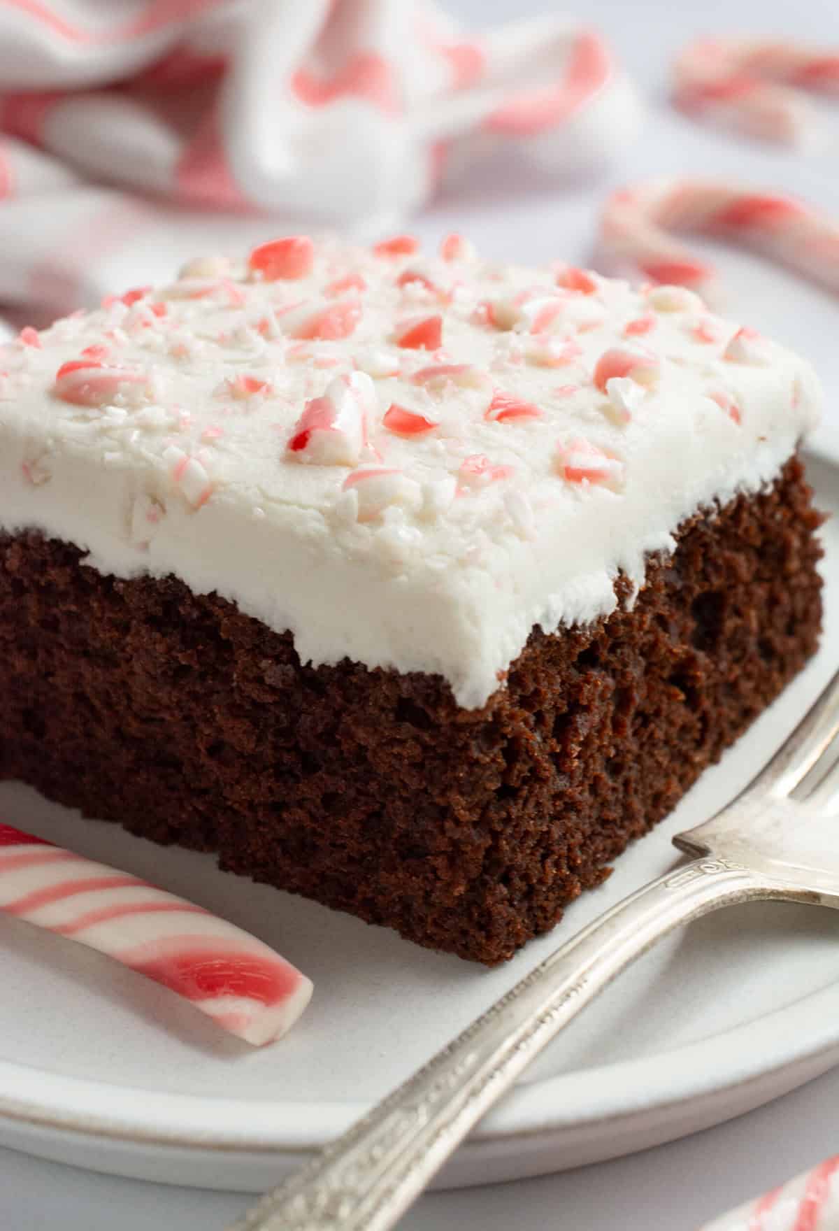 A square slice of chocolate cake with vanilla frosting topped with crushed peppermint candy canes.